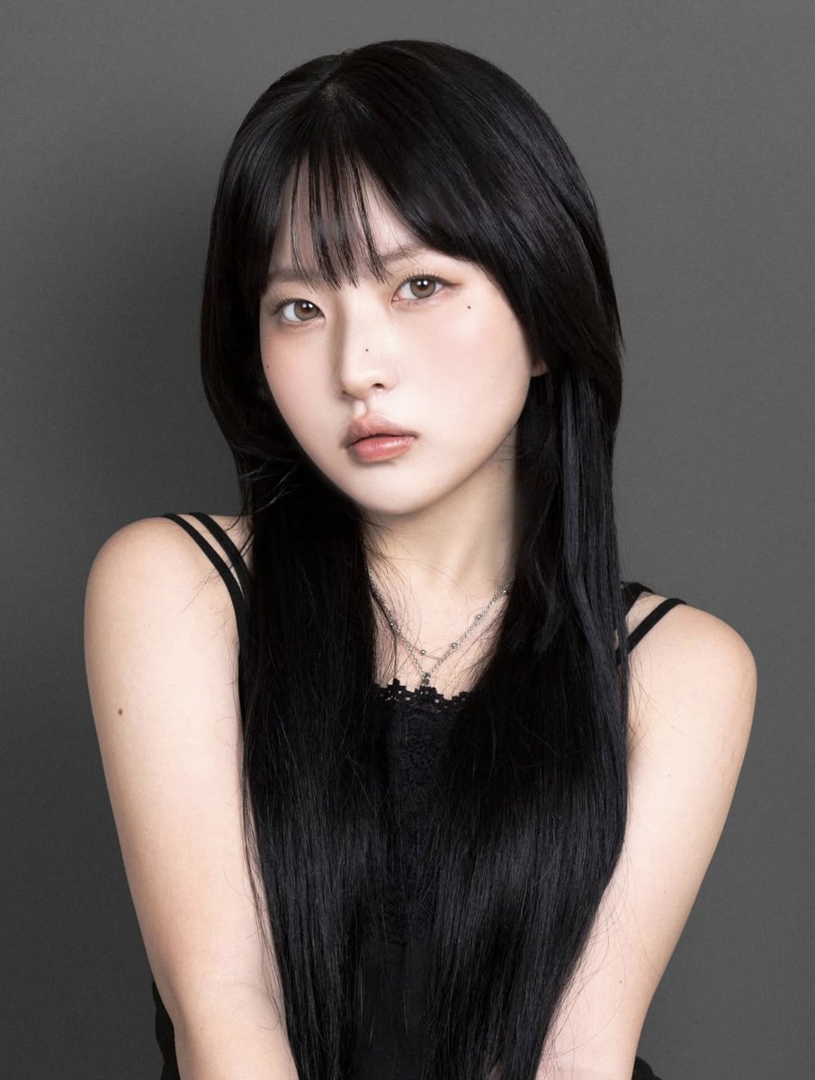 컬러 증명사진